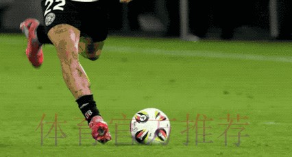 最新世界杯比分动态解析